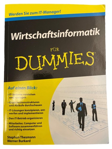 Wirtschaftsinformatik für